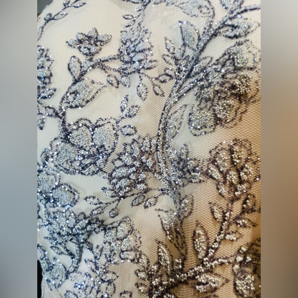 Beautiful Formal Dress with Sparkly Silver Floral Detailing - Picture 3 of 4